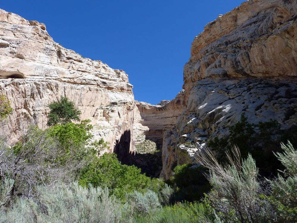 Dinosaur national park (21).JPG